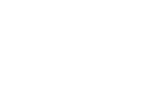 afs-akademie_white