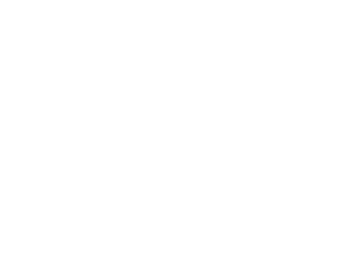DialogData Logo