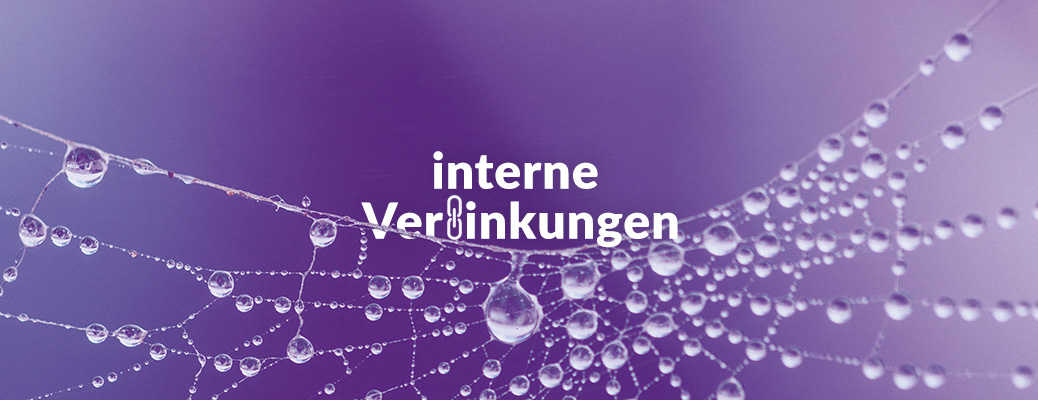 interne_verlinkungen_header-grafik